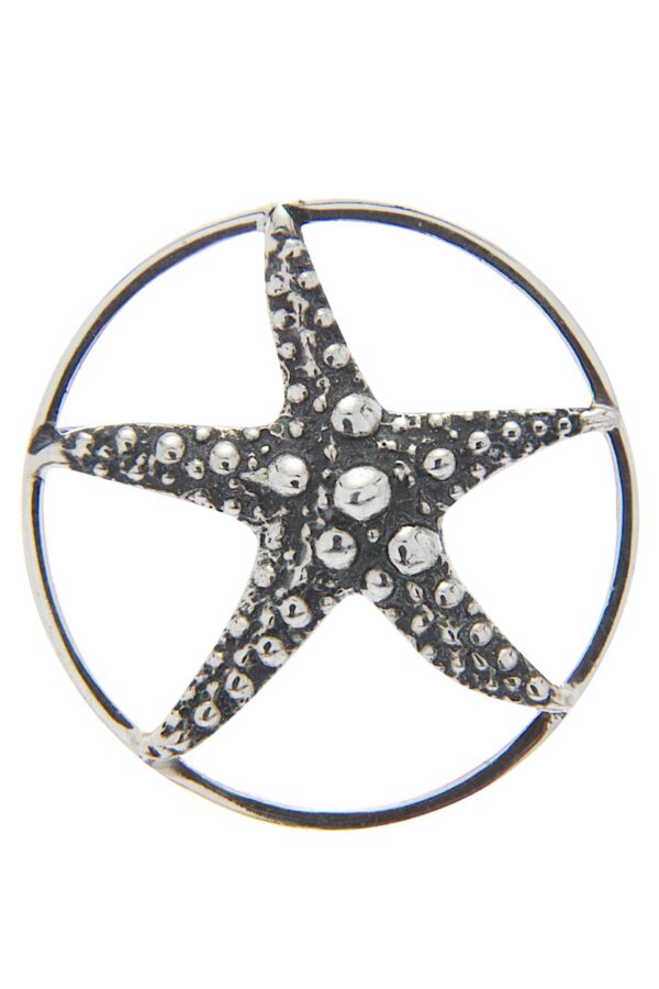 AllMerry Silver Brooch เข็มกลัดเงินแท้ลงดำรูปปลาดาว